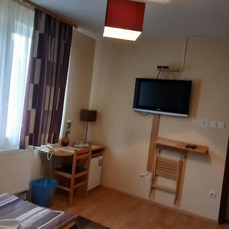 Kata Panzio Oroszlány